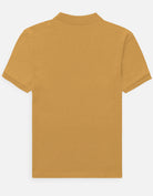 Back_3_c_43.jpg
